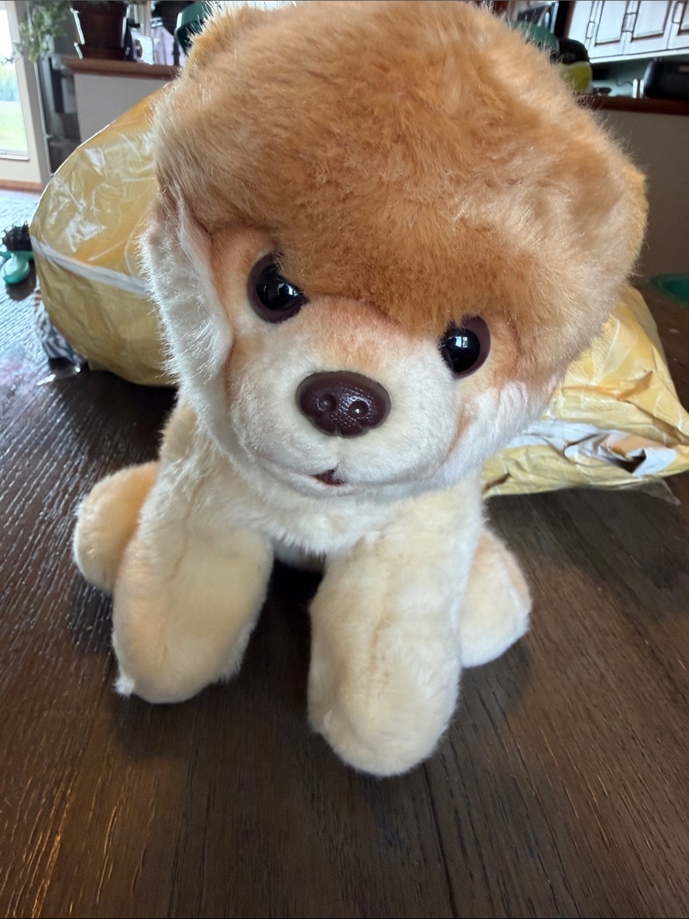 GUND Boo The World's Cutest Dog Pomeranian Plush Stuffed Animal Cream 4029715